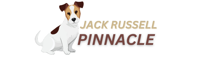 Jack Russell Pinnacle